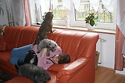 Prinzessinnen und Prinzen am spielen