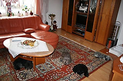 Prinzessinnen und Prinzen am spielen