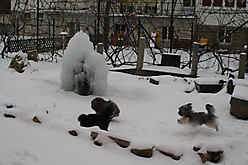 Prinzessinnen und Prinzen am spielen