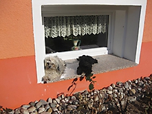 Prinzessinnen und Prinzen am spielen