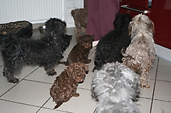 Prinzessinnen und Prinzen am spielen