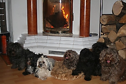 Prinzessinnen und Prinzen am spielen