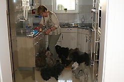 Prinzessinnen und Prinzen am spielen