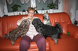 Prinzessinnen und Prinzen am spielen