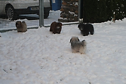 Prinzessinnen und Prinzen am spielen