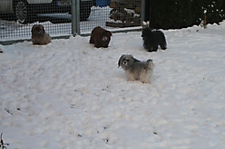 Prinzessinnen und Prinzen am spielen