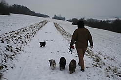 Prinzessinnen und Prinzen am spielen