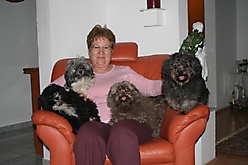 Prinzessinnen und Prinzen am spielen