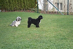 Prinzessinnen und Prinzen am spielen