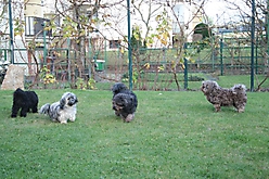 Prinzessinnen und Prinzen am spielen