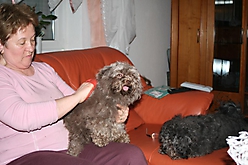 Prinzessinnen und Prinzen am spielen