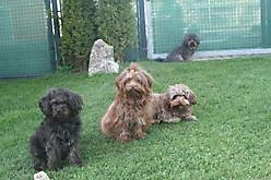 Prinzessinnen und Prinzen am spielen