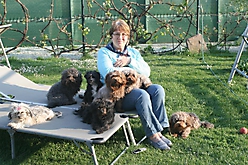 Prinzessinnen und Prinzen am spielen