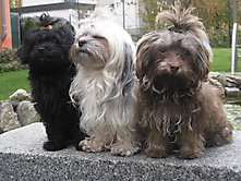 Prinzessinnen und Prinzen am spielen