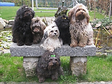 Prinzessinnen und Prinzen am spielen