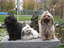 Prinzessinnen und Prinzen am spielen