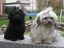 Prinzessinnen und Prinzen am spielen