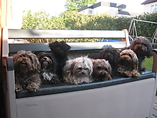 Prinzessinnen und Prinzen am spielen