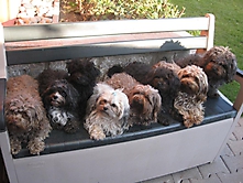 Prinzessinnen und Prinzen am spielen