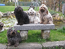 Prinzessinnen und Prinzen am spielen