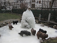 Prinzessinnen und Prinzen am spielen