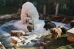 Prinzessinnen und Prinzen am spielen