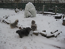 Prinzessinnen und Prinzen am spielen