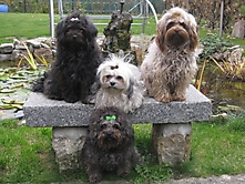 Prinzessinnen und Prinzen am spielen