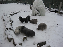 Prinzessinnen und Prinzen am spielen