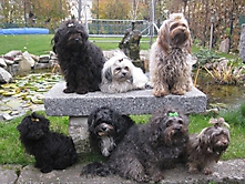 Prinzessinnen und Prinzen am spielen