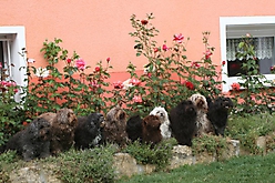 Prinzessinnen und Prinzen am spielen