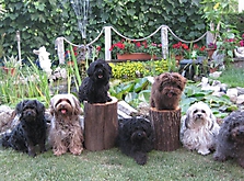 Prinzessinnen und Prinzen am spielen