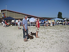 Prinzessinnen und Prinzen am spielen