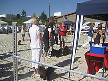 Prinzessinnen und Prinzen am spielen