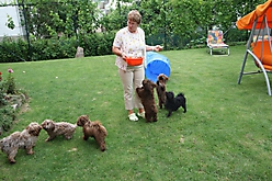 Unsere Bolonka Treffen