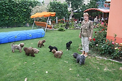 Unsere Bolonka Treffen