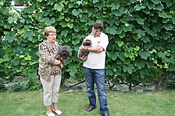 Unsere Bolonka Treffen