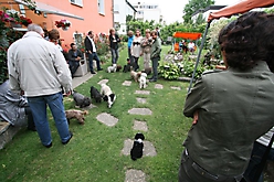 Unsere Bolonka Treffen