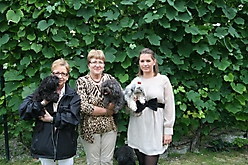 Unsere Bolonka Treffen