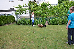 Unsere Bolonka Treffen